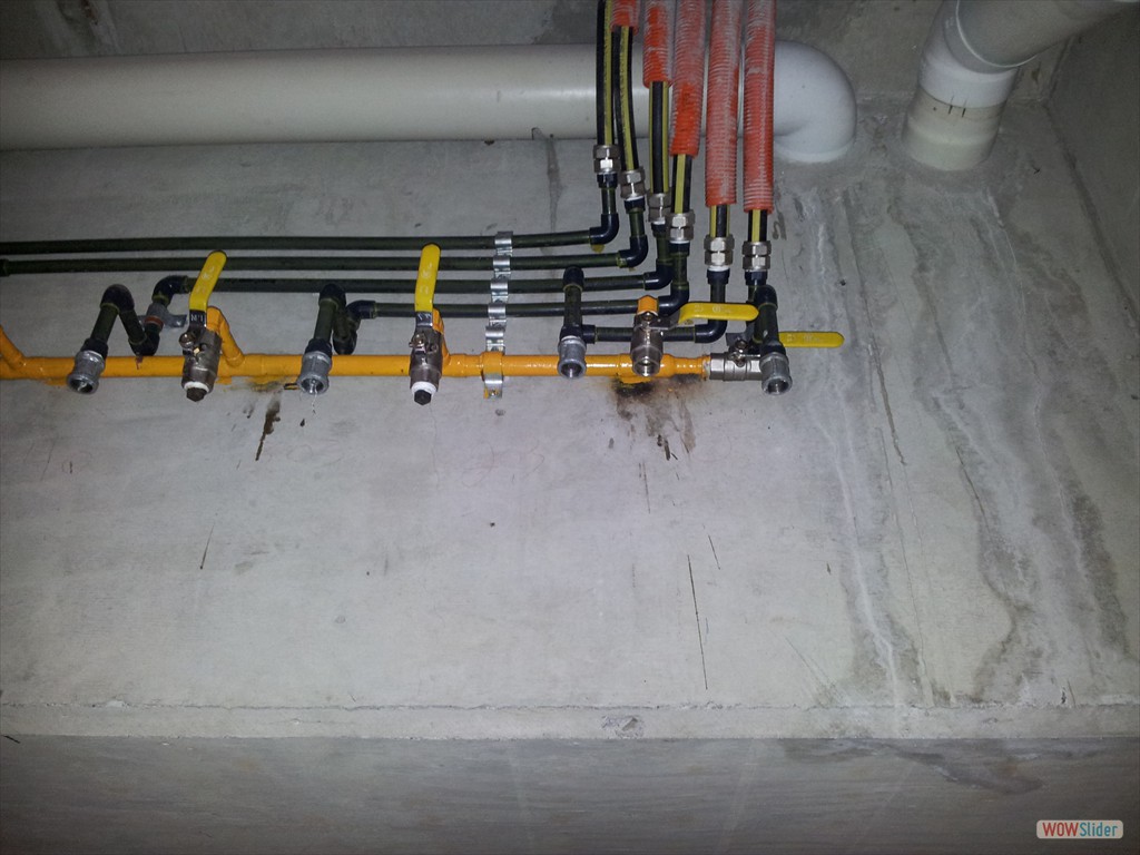gas  (3)
