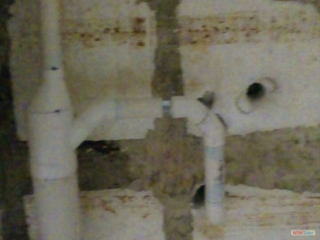 IMG-20190429-WA0271