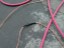electricas (38)