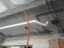 IMG-20190429-WA0056