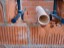 IMG-20190429-WA0229
