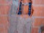 IMG-20190429-WA0237