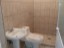 IMG-20190429-WA0713