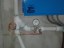 IMG-20190429-WA0906